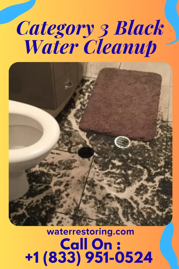 Category 3 Black Water Cleanup in Lake Charles, LA